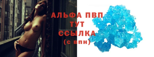амф Верея