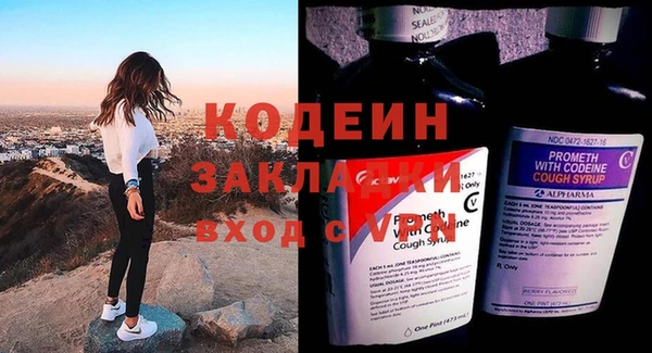 амф Верея
