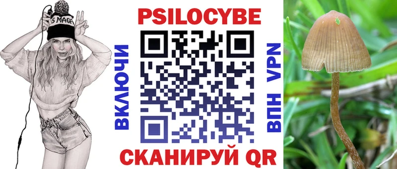 Псилоцибиновые грибы Psilocybine cubensis  Видное 